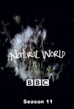 Poster for Natural World Season 11