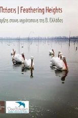 Ανεμοδαρμένες πτήσεις