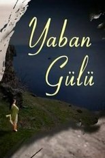 Poster di Yaban Gülü