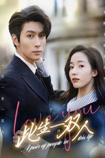 此生一双人 poster