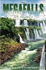 Poster for The Falls of Iguaçu