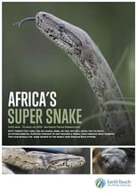 Poster for Africa's Super Snake 