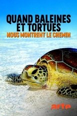 Poster for Quand baleines et tortues nous montrent le chemin