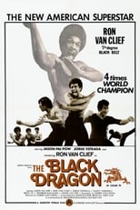 The Black Dragon (1974)