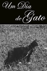 Poster for Um Dia de Gato 