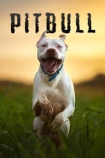 Poster for Pitbull 