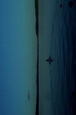 THE WATERS