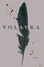 Volavka – plakát