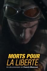 Poster for Morts pour la liberté : Le tragique destin du vol « C Charlie » 