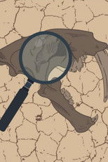 Paleo Analysis Paleo Analysis