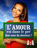 Poster for L'amour est dans le pré : que sont-ils devenus ?