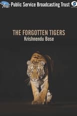 Poster for THE FORGOTTEN TIGERS