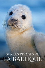 Sur les rivages de la Baltique