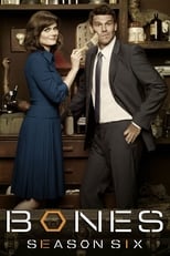 Poster for Bones Season 6