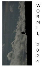 WORMIT, 2024