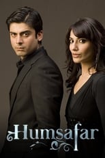 Humsafar (2011)