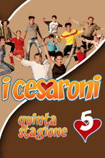 Saison 5