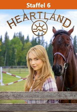 Poster zu Staffel 6 – Heartland - Paradies für Pferde
