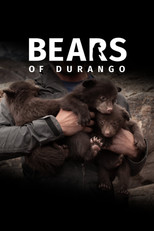 Bears of Durango poster