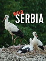 Poster for Wild Serbia 