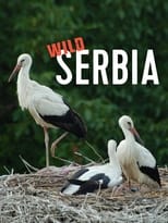 Poster for Wild Serbia