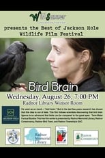 Poster for Bird Brain 