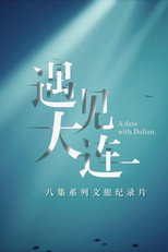 遇见大连 poster