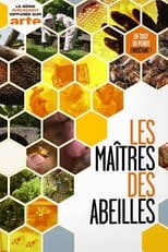 Poster di Les maîtres des abeilles