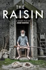 Poster for The Raisin