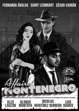 Affaire Montenegro