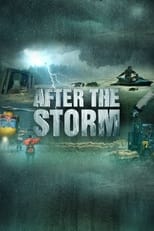 Poster for After the Storm