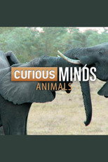 Curious Minds: Animals poster