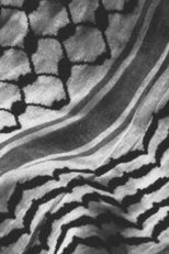 The City and Her Stones