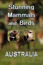 Poster for Stunning Mammals and Birds: Australia