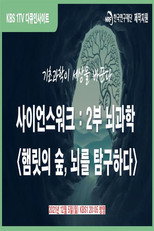 다큐 인사이트-사이언스 워크 poster