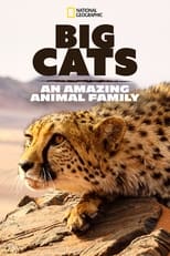 Poster for Big Cats: An Amazing Animal Family