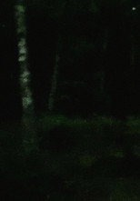 light rain, empty mind