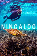 Ningaloo Nyinggulu (2023)