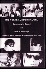 The Velvet Underground Tarot Cards