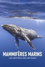 Poster for Mammifères marins - les maîtres des abysses