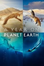 A Year on Planet Earth (2022)