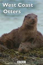 Poster for West Coast Otters 