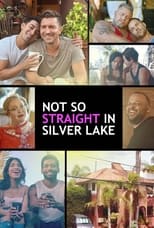 Poster for Not So Straight in Silver Lake Season 1