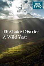 Poster for The Lake District: A Wild Year