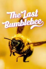 The Last Bumblebee main poster