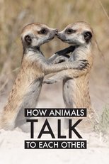 How Animals Talk To Each Other