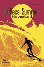 Poster for The Endless Summer Revisited