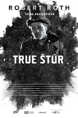 Poster for True Štúr