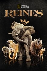 Reines serie streaming