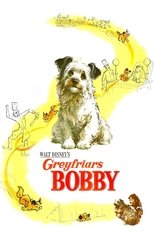 Poster for Greyfriars Bobby